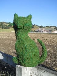 Sitting Cat Moss Topiary 24 inch Tall